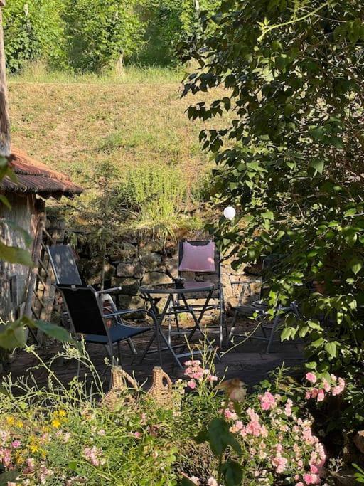 Villa Rebhaus Durbach Exterior foto