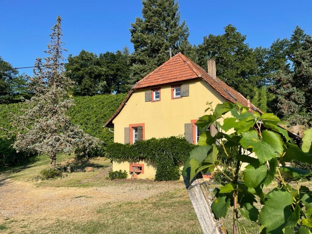 Villa Rebhaus Durbach Exterior foto